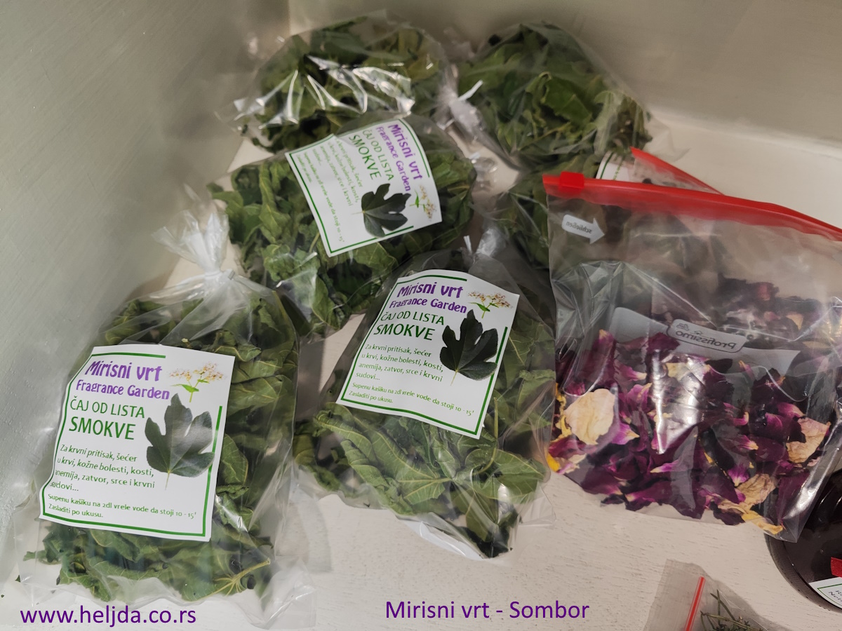 Čaj od smokvinog lista