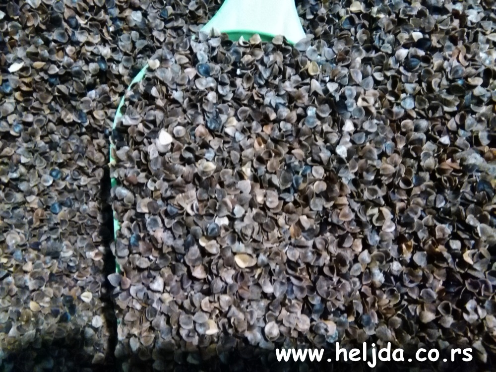 Nisam dovoljno bogat da kupujem jeftine stvari