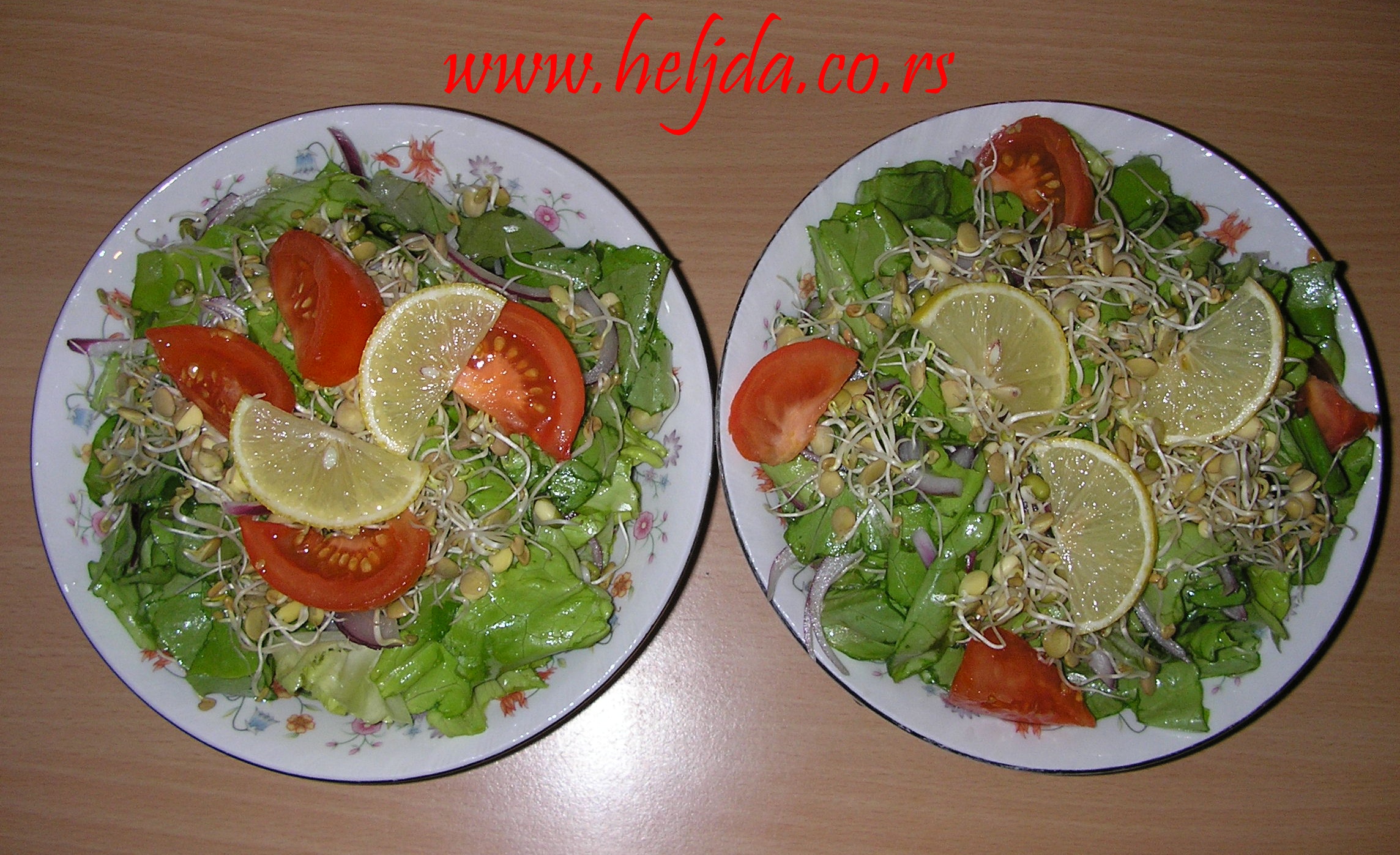 Zelena salata sa svežim klicama