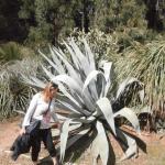 Dubrovnik-Lokrum 2014