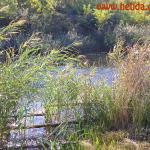 Somborski kanal 2012