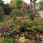 Anatomski i antialergijski jastuci od heljde