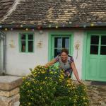 Anatomski i antialergijski jastuci od heljde