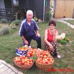 Mama, tata i paradajz