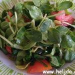 klice suncokreta u salati