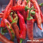 Pečene paprike u tegli, peci i gnječi