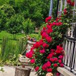 Slatko od ruža i limuna