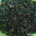 tinktura od maslačka