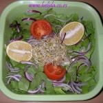 Zelena salata sa svežim klicama