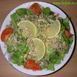 Zelena salata sa svežim klicama