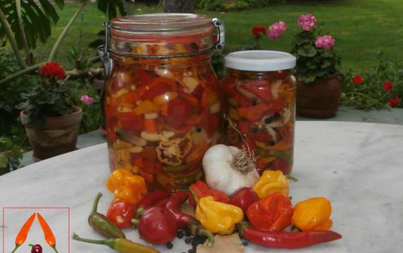 ljute paprike u tegli